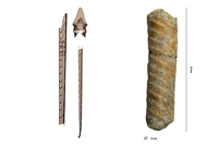 Lechinites gaudini